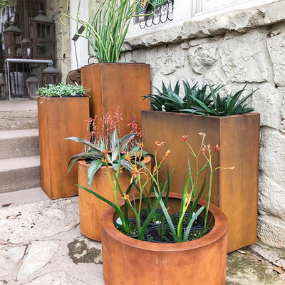 Corten Çelik Ekici Büyük Açık Kare Metal Saksıları Özelleştirin