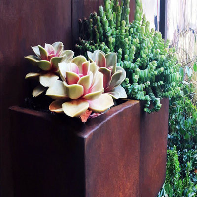 Bahçe Corten Çelik Açıklıklı Büyük Ekici Kutusu Çiftlik Evi için Paslanmış Ayrışma Çelik