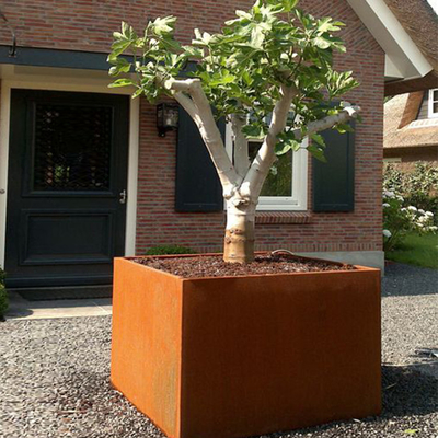Bahçe Corten Çelik Açıklıklı Büyük Ekici Kutusu Çiftlik Evi için Paslanmış Ayrışma Çelik