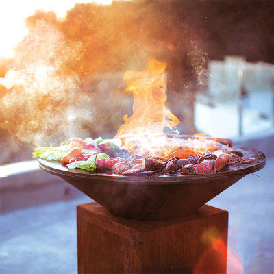 Odun Yakma Ayrışma Çelik Açık Hava Pişirme Izgaraları Barbekü İçin 100cm